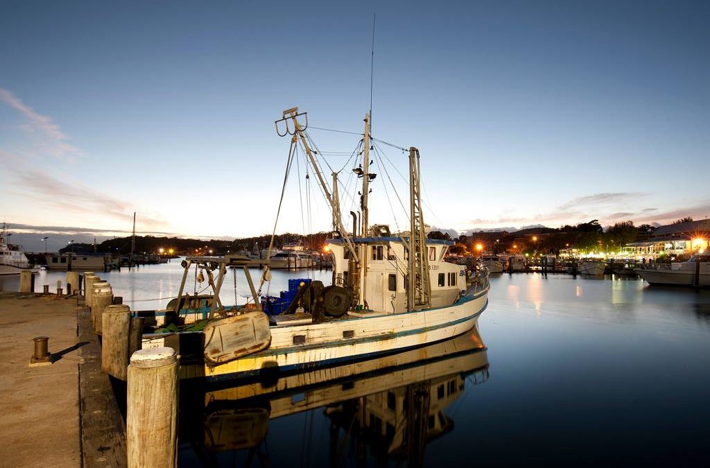 Newcastle seafood industry announced for Trusted Advocates network pilot