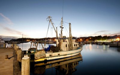 Newcastle seafood industry announced for Trusted Advocates network pilot